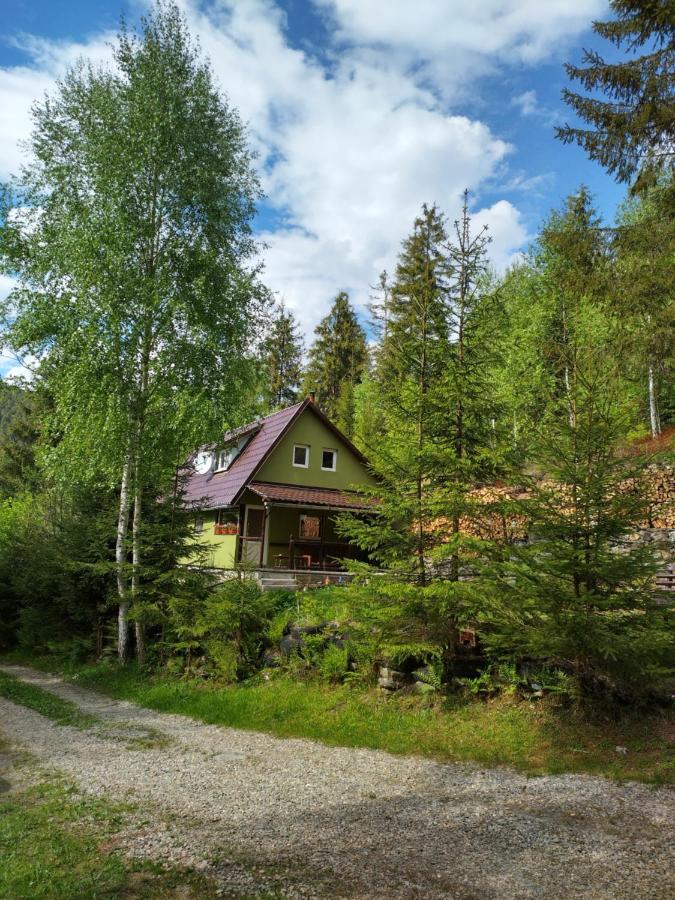 Villa Green House Gheorgheni  Exterior foto